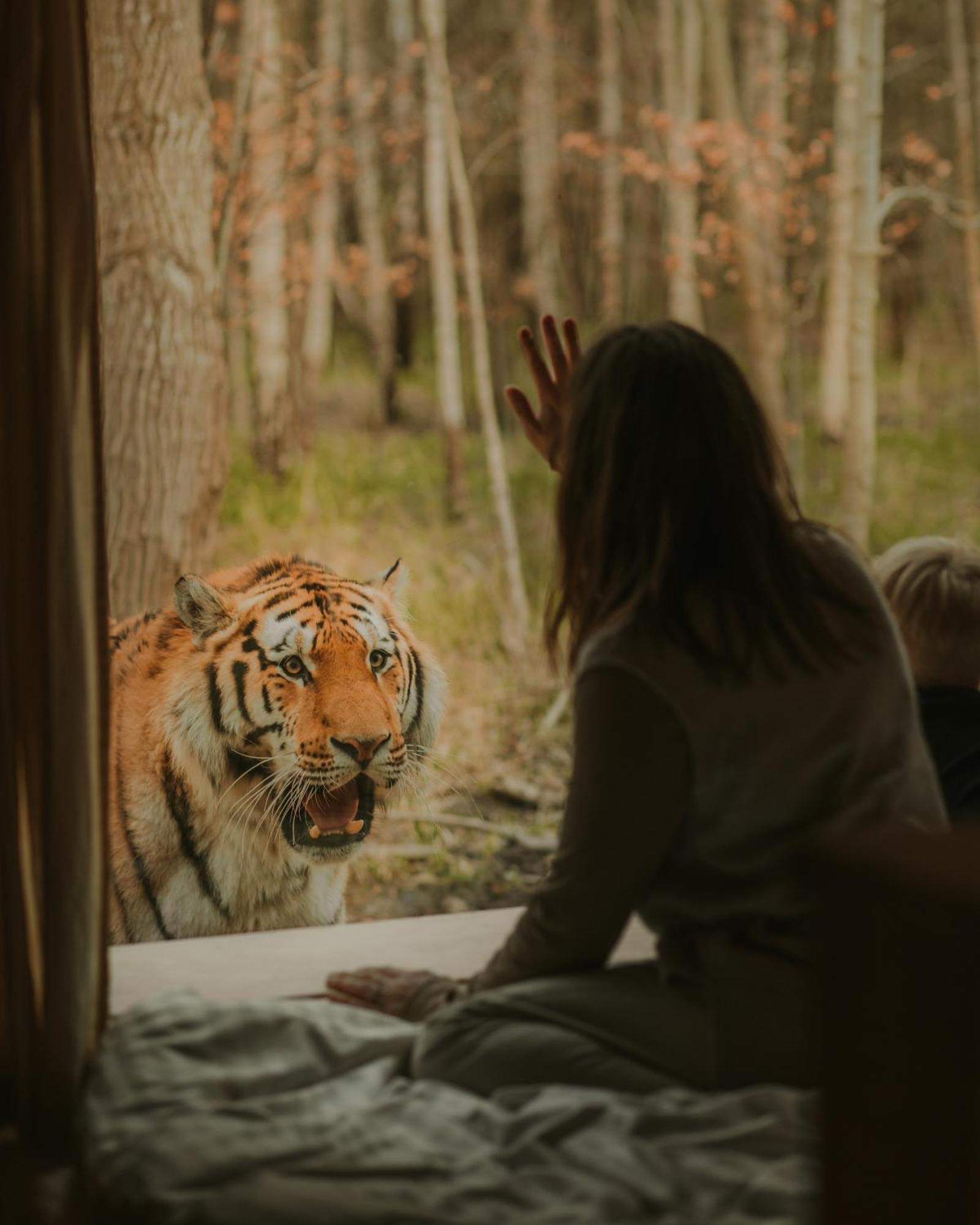 Knuthenborg Safaripark Hotel Maribo Kültér fotó