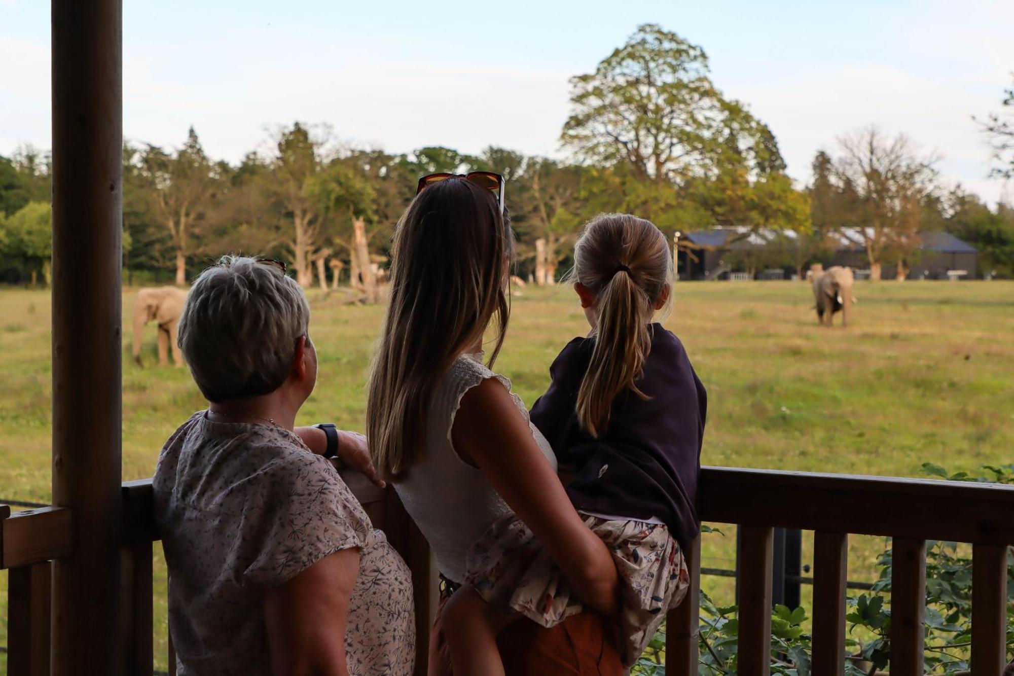 Knuthenborg Safaripark Hotel Maribo Kültér fotó