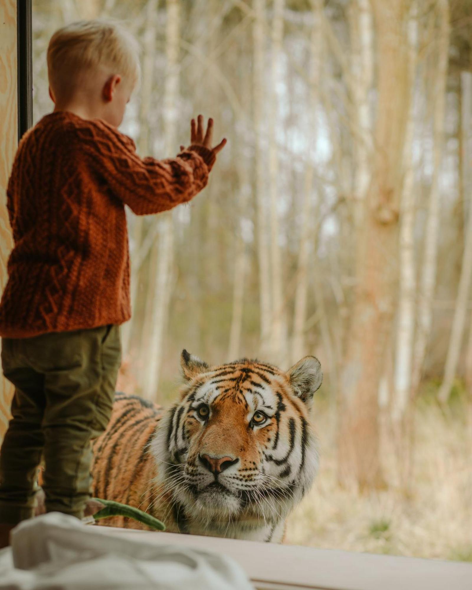 Knuthenborg Safaripark Hotel Maribo Kültér fotó