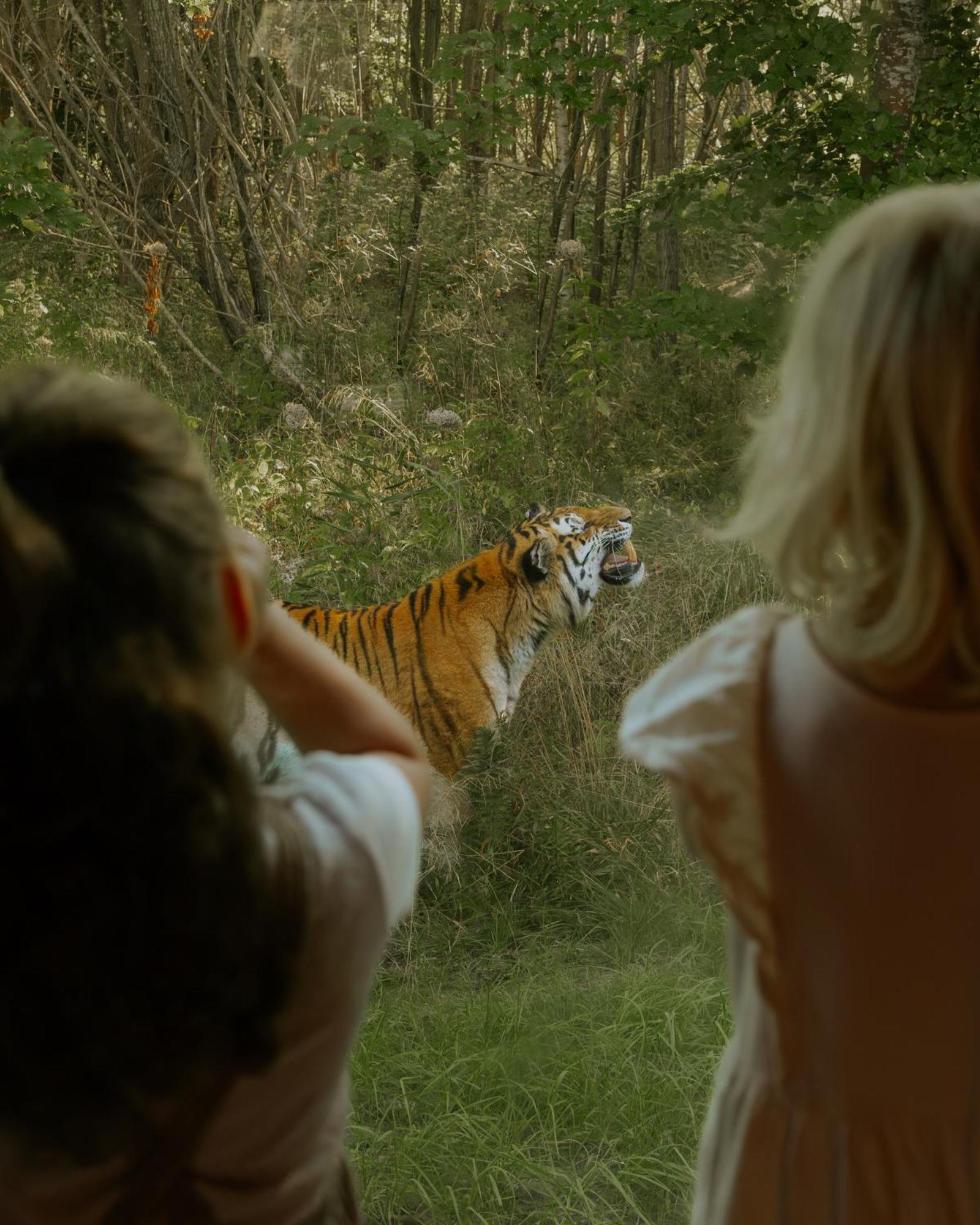 Knuthenborg Safaripark Hotel Maribo Kültér fotó