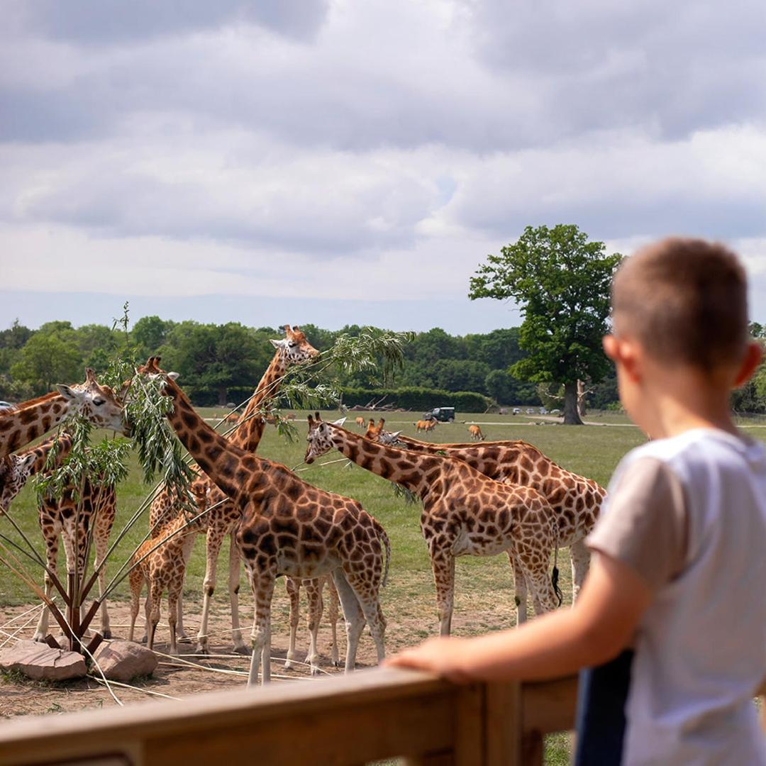 Knuthenborg Safaripark Hotel Maribo Kültér fotó