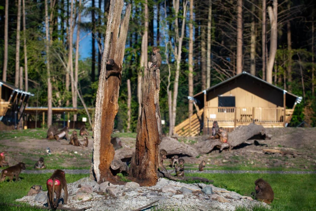 Knuthenborg Safaripark Hotel Maribo Kültér fotó