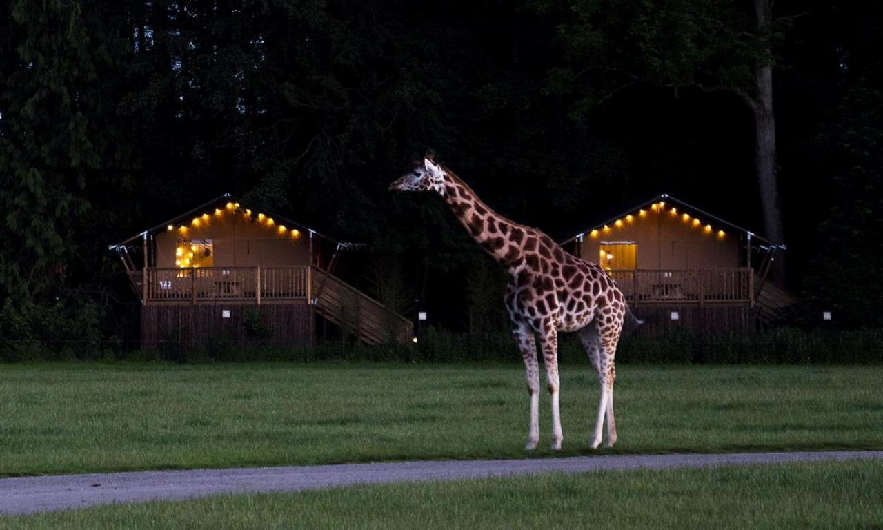 Knuthenborg Safaripark Hotel Maribo Kültér fotó