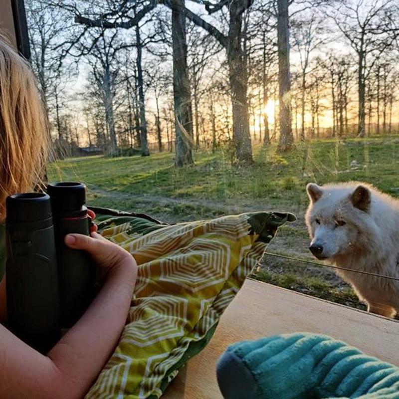 Knuthenborg Safaripark Hotel Maribo Kültér fotó