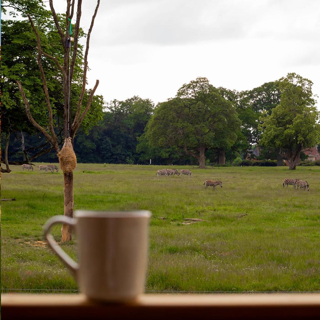 Knuthenborg Safaripark Hotel Maribo Kültér fotó