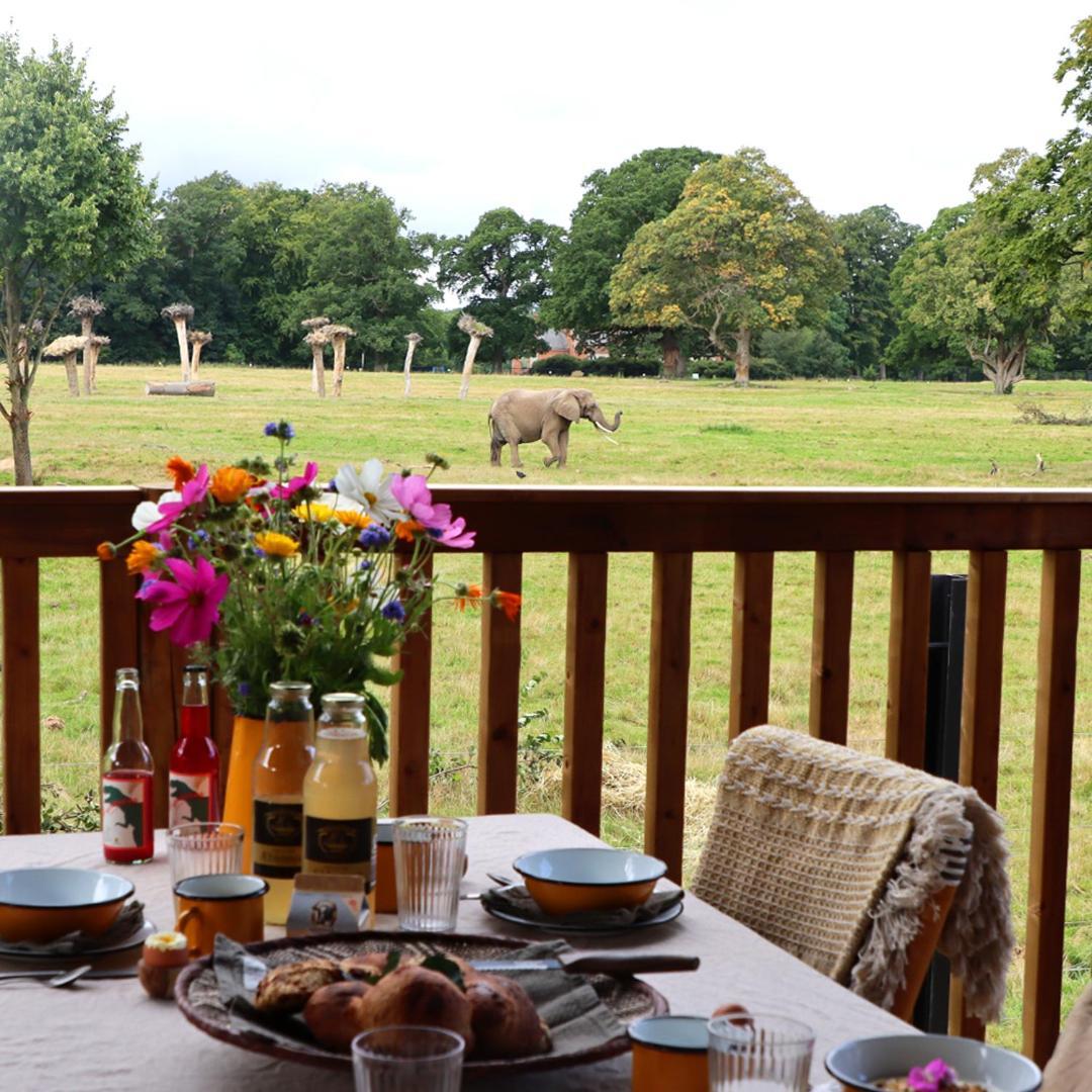 Knuthenborg Safaripark Hotel Maribo Kültér fotó